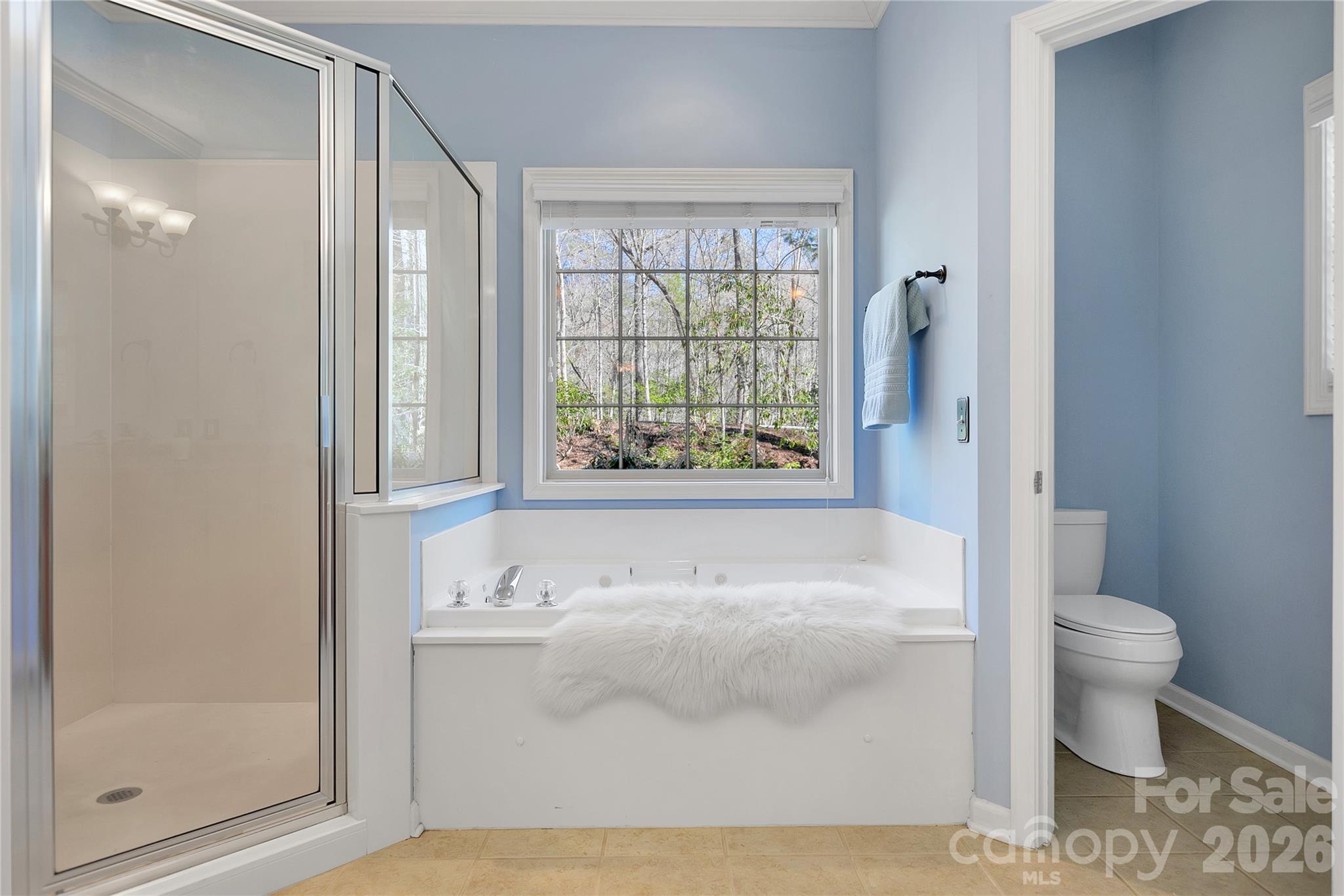 180 Notlvsi Court Brevard NC 28712