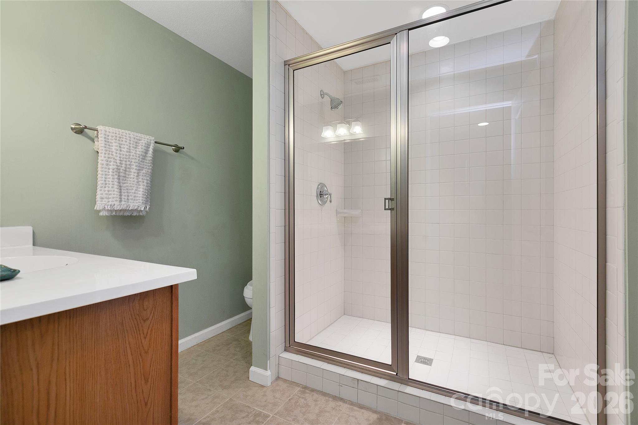180 Notlvsi Court Brevard NC 28712