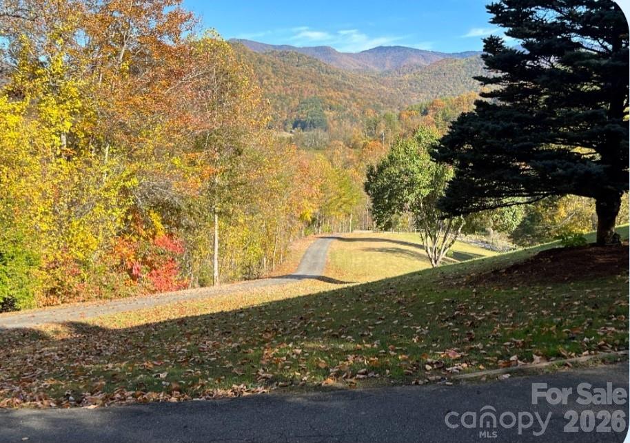 126 Hillcrest Drive Barnardsville NC 28709