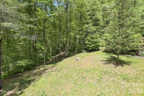 302 Rich Mountain Road Flat Rock NC 28731