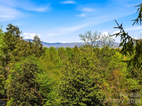 10 Kalimar Heights Hendersonville NC 28739
