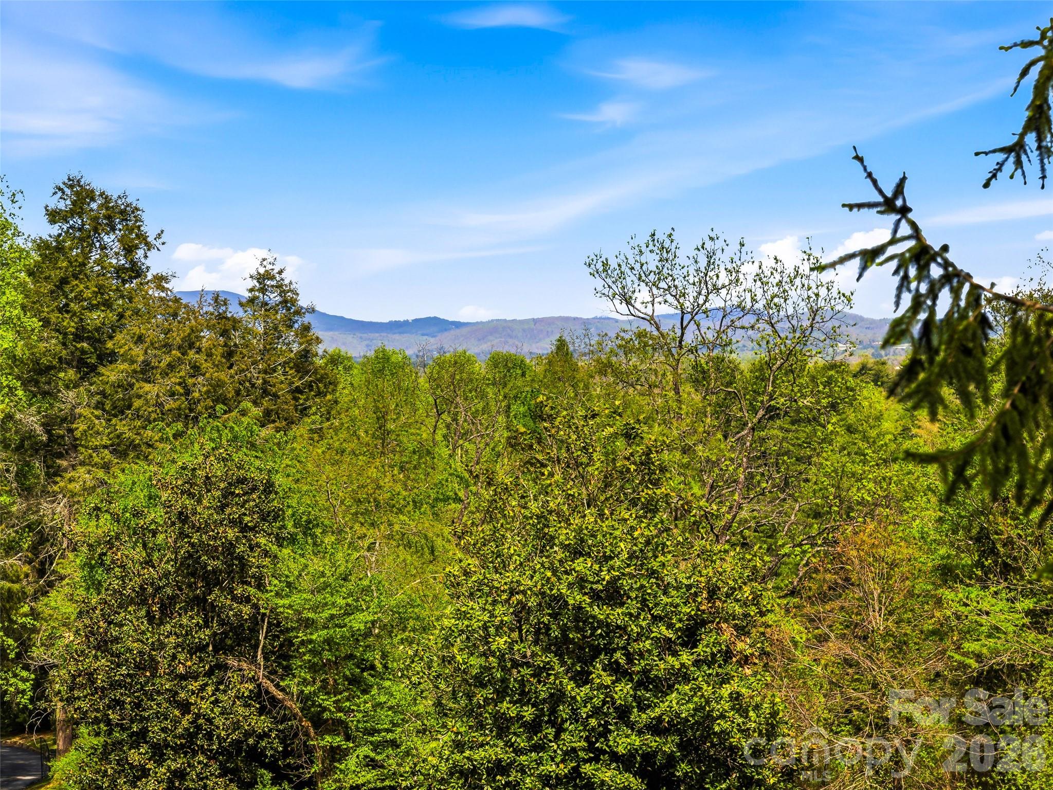 10 Kalimar Heights Hendersonville NC 28739