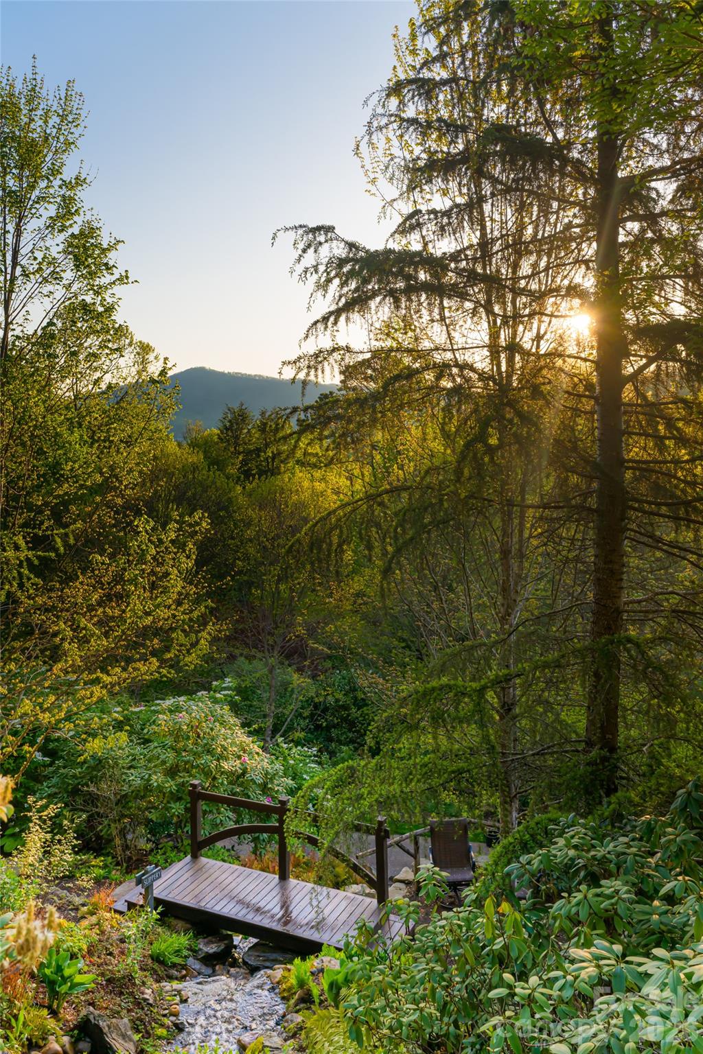 66 N Deerhaven Lane Asheville NC 28803