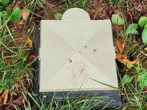 71 Fifth Avenue Asheville NC 28806