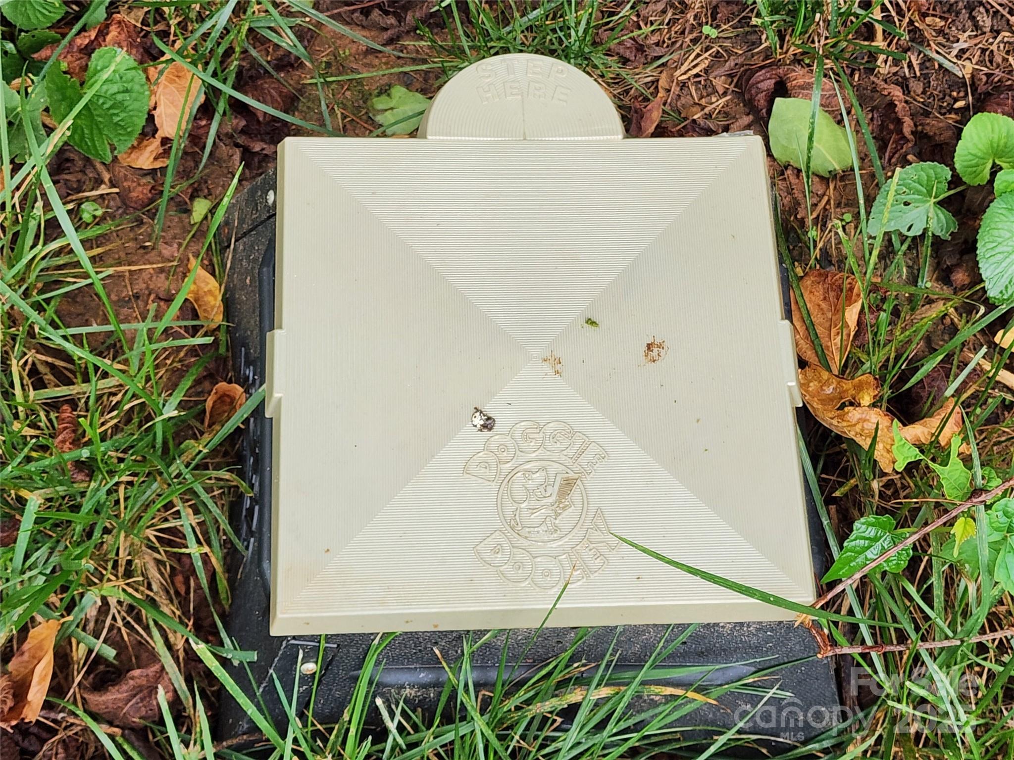 71 Fifth Avenue Asheville NC 28806