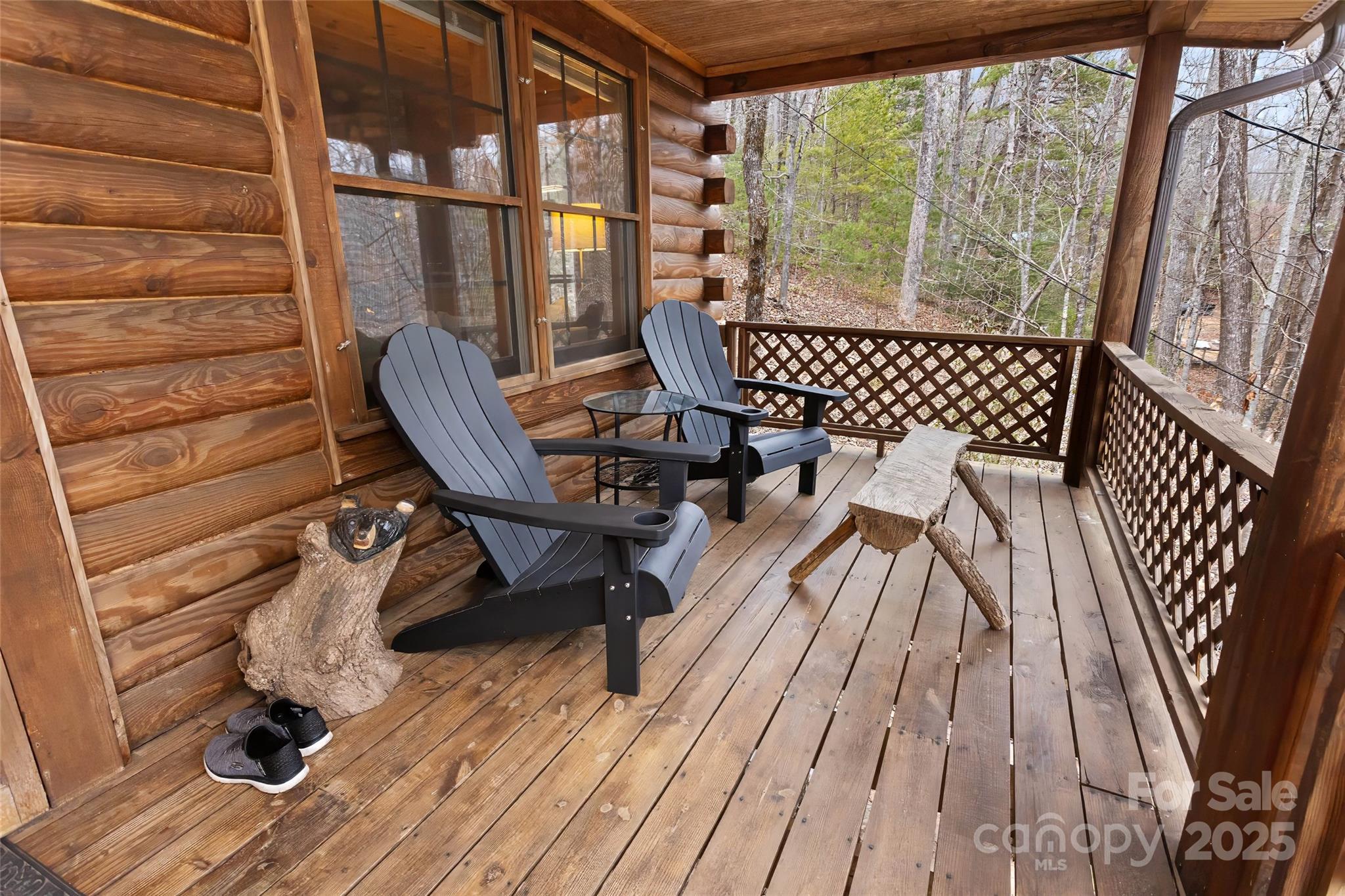 34 Rainbow Lake Circle Black Mountain NC 28711