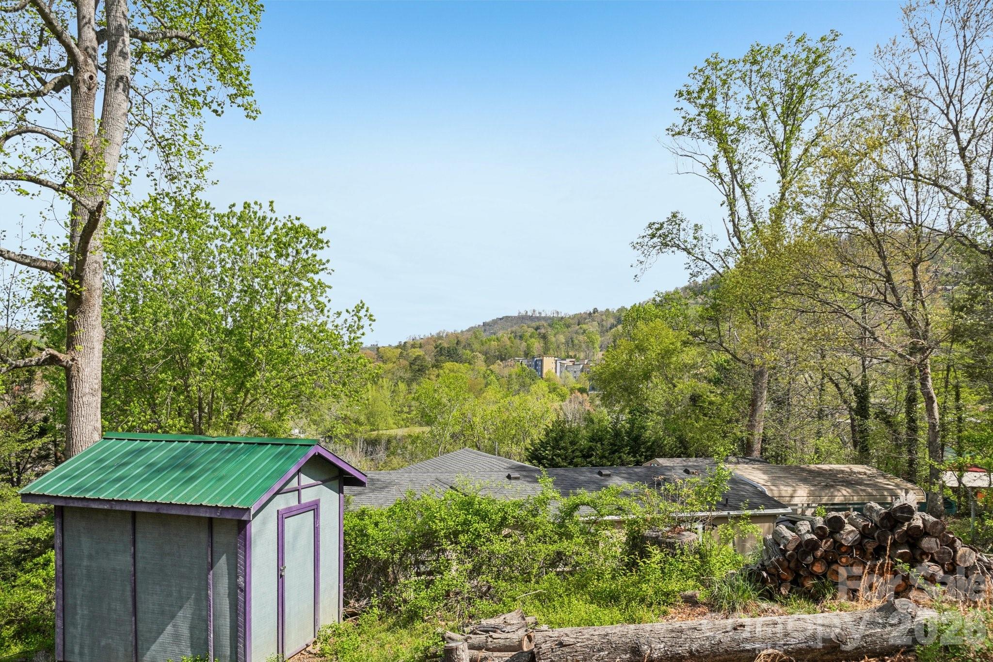 25 Moore Street Woodfin NC 28804