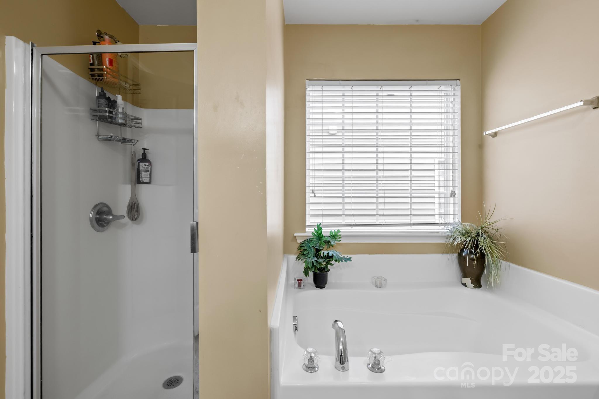 4124 Houldsworth Drive Charlotte NC 28213
