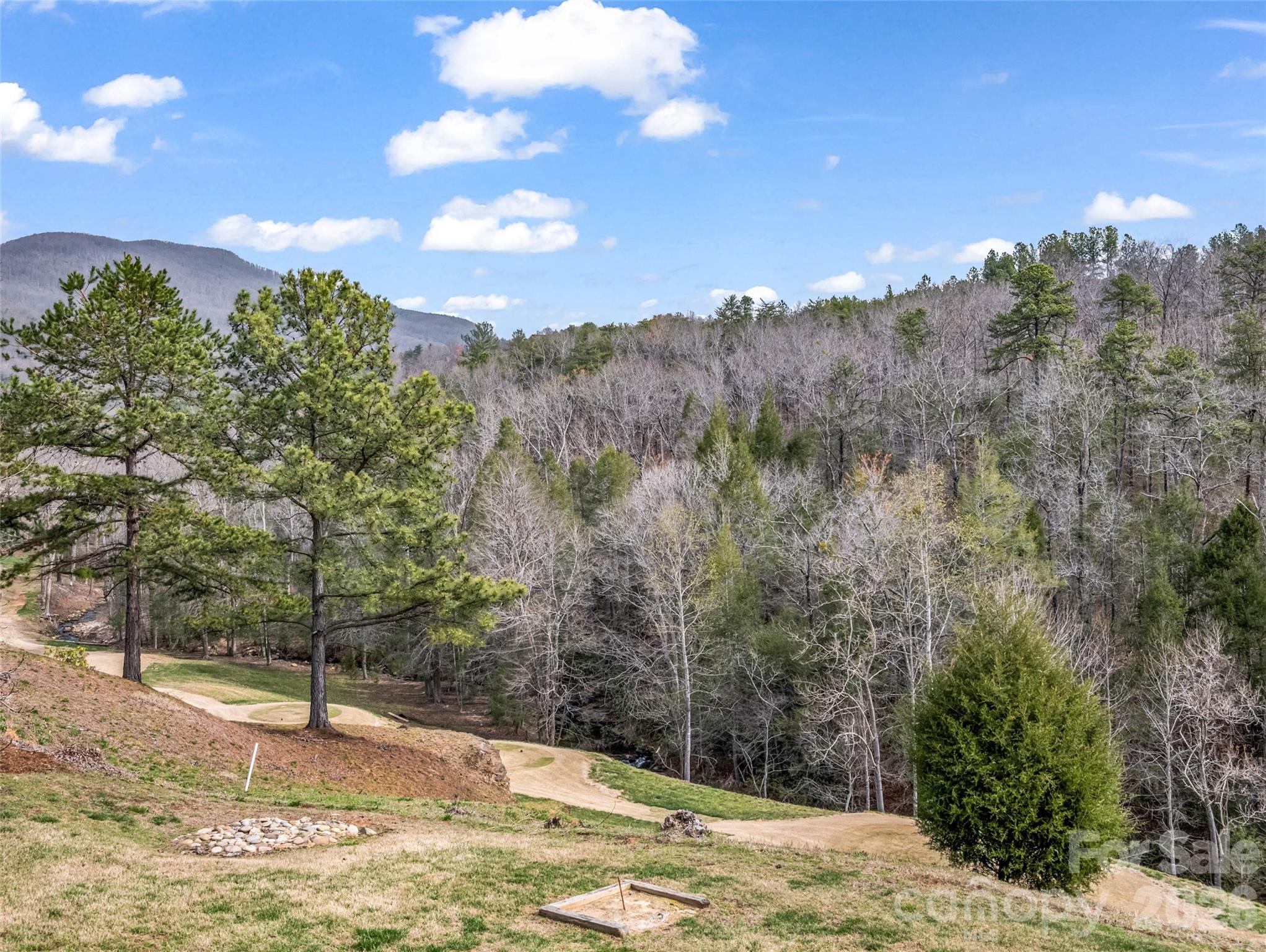 565 Chestertown Drive Mill Spring NC 28756
