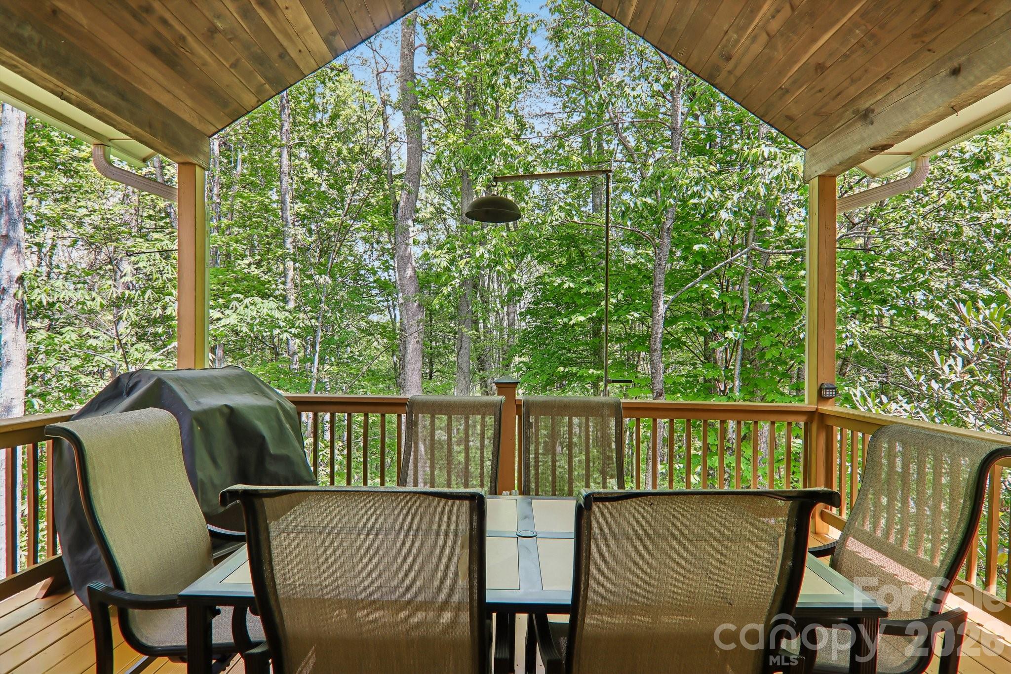 519 Susanna Cove Road Mars Hill NC 28754