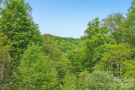 519 Susanna Cove Road Mars Hill NC 28754