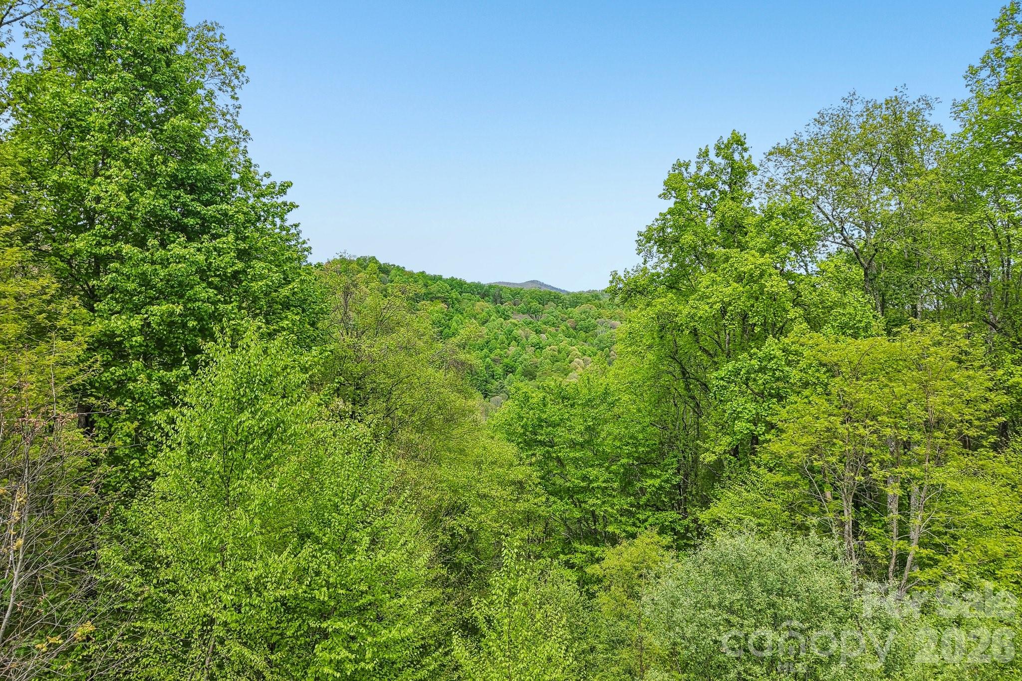 519 Susanna Cove Road Mars Hill NC 28754
