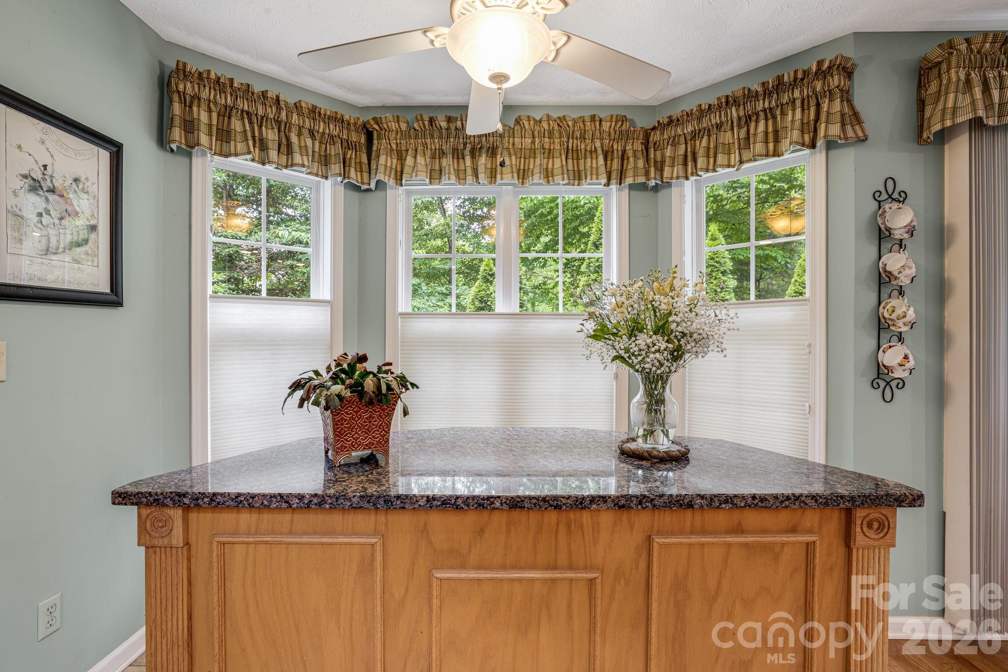 9 Firestone Court Etowah NC 28729