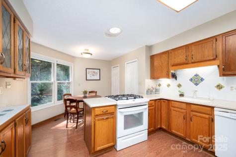 9 Sandon Circle Asheville NC 28804