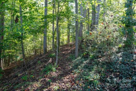 9 Sandon Circle Asheville NC 28804