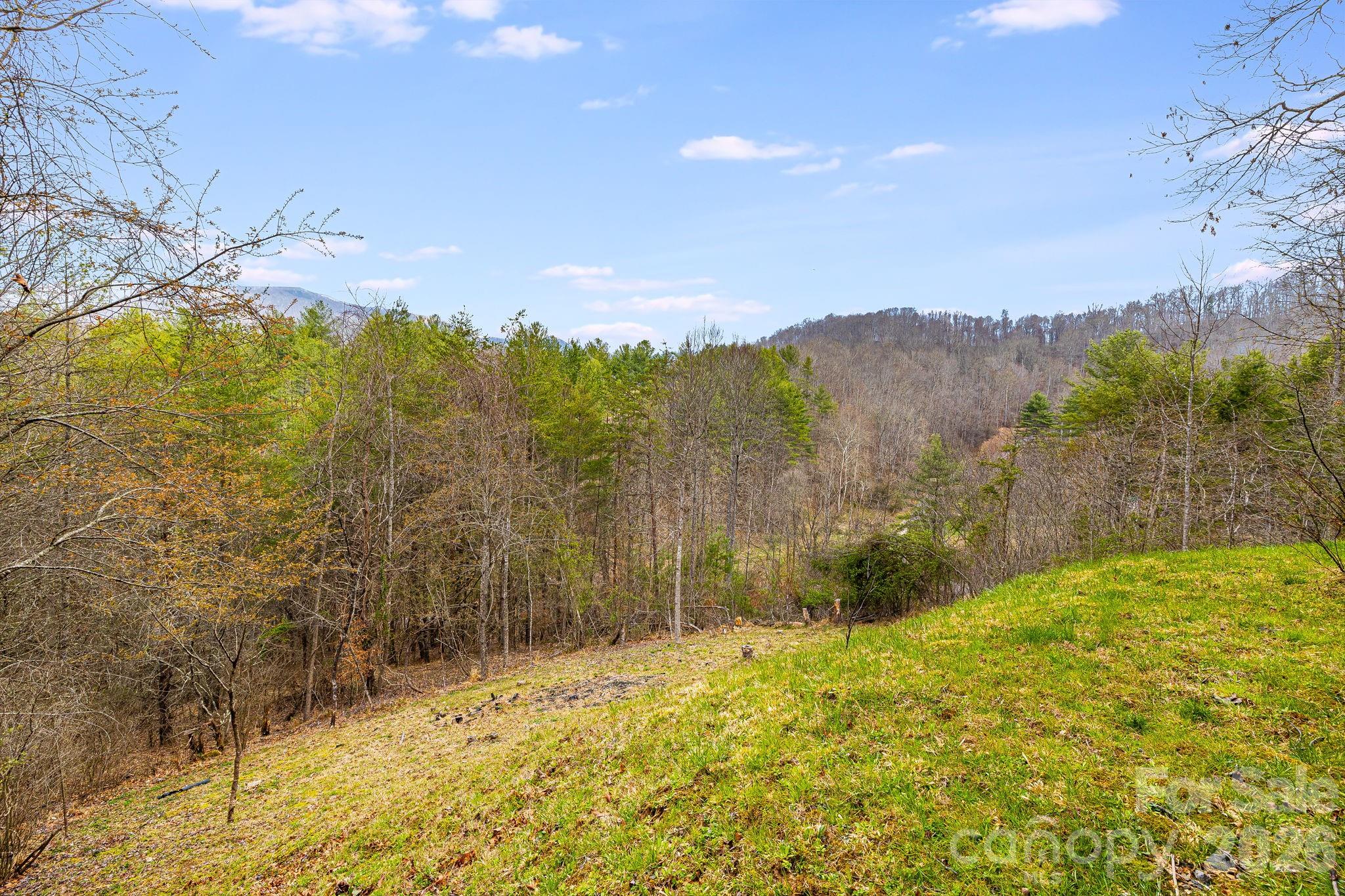 409 Hamlet Drive Burnsville NC 28714