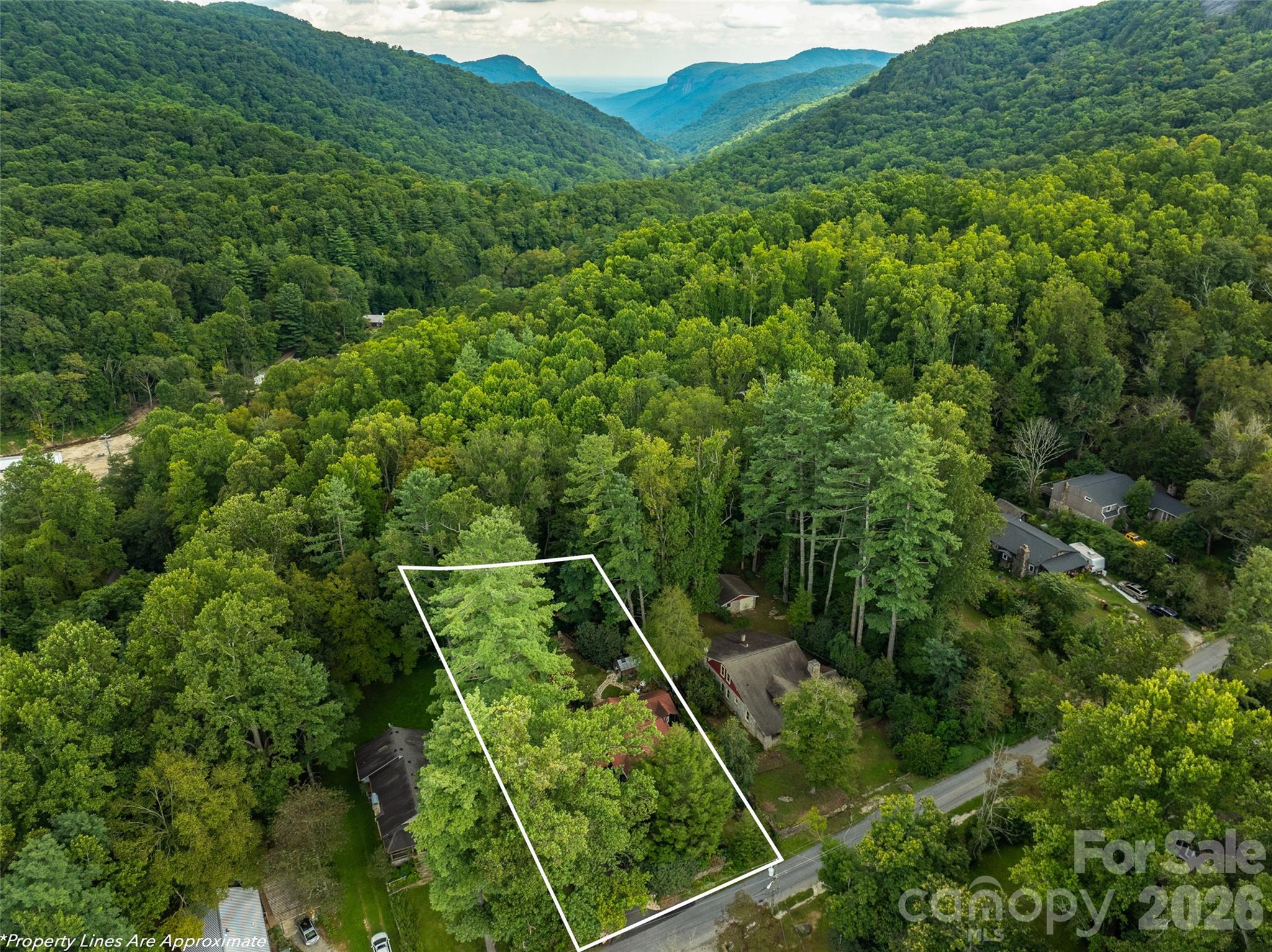 85 Chestnut Hill Road Gerton NC 28735