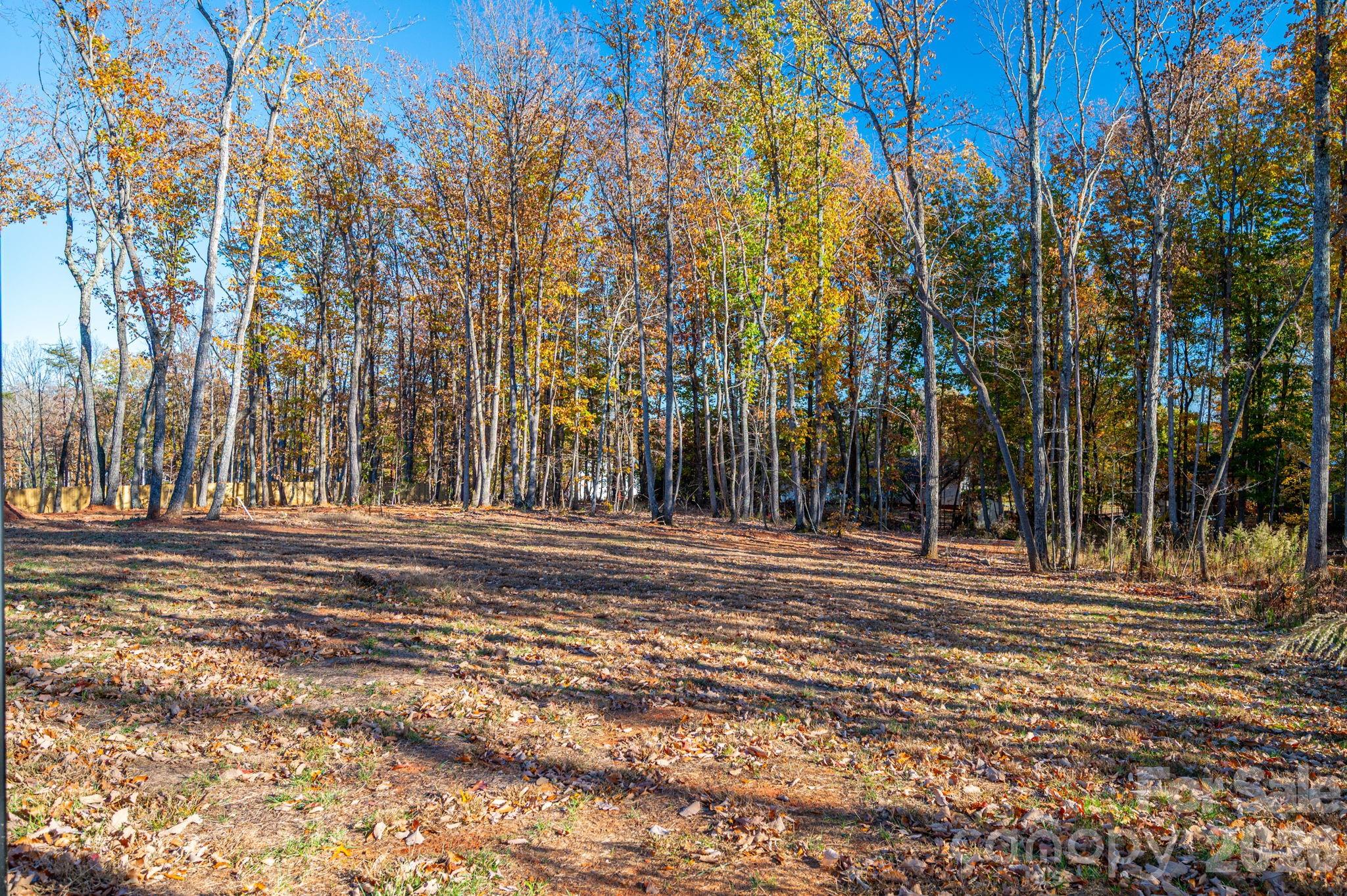 4436 Brancer Lane Lincolnton NC 28092