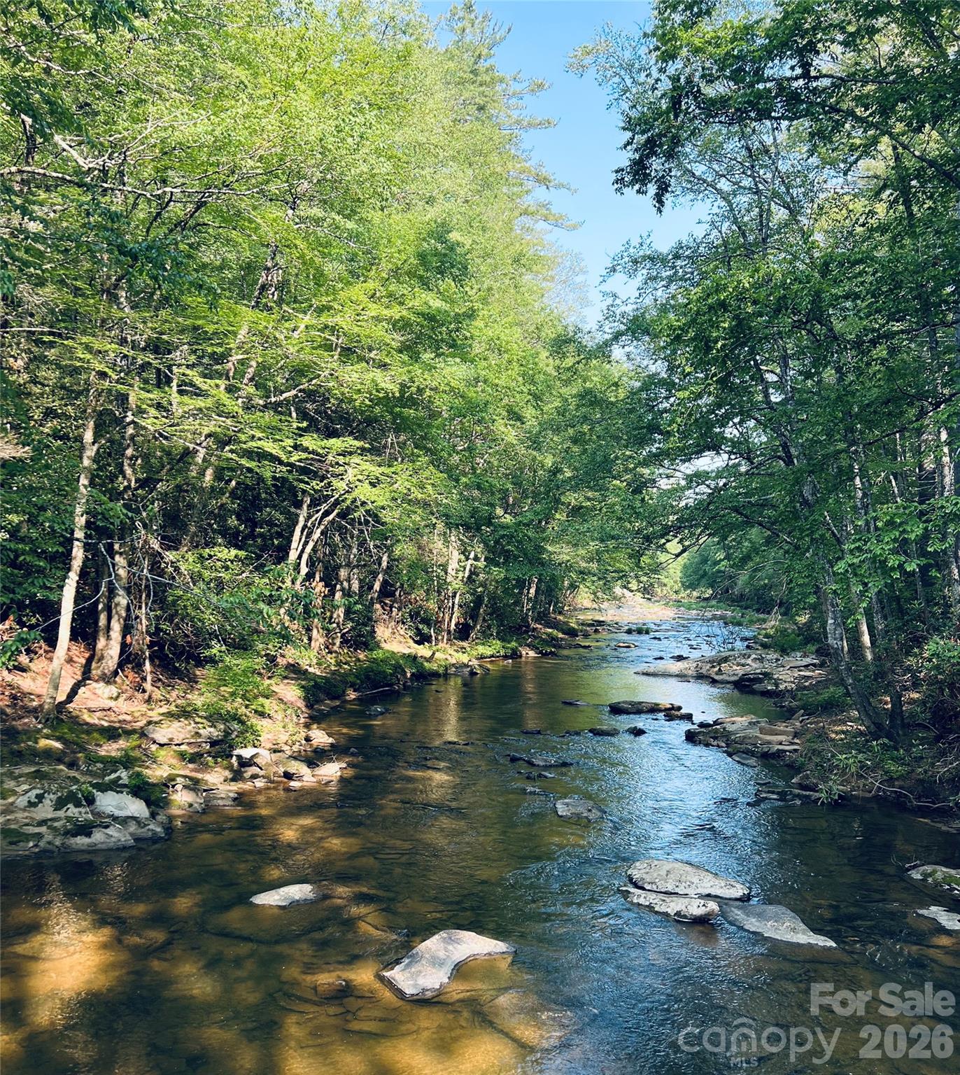 229 Spring Brook Road Newland NC 28657