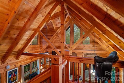 325, 141 & 75 Owl Haven Lane Cedar Mountain NC 28718