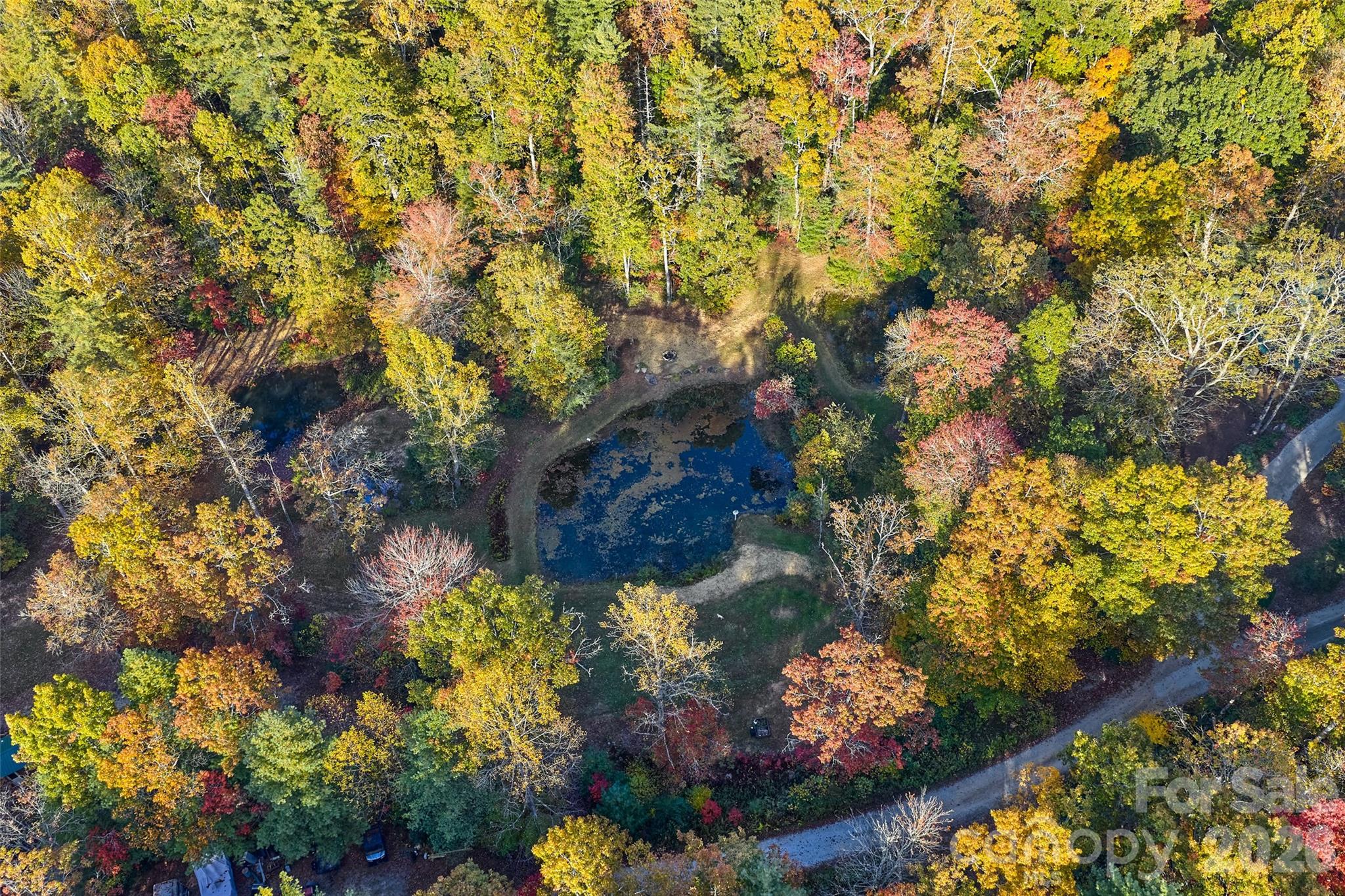 325, 141 & 75 Owl Haven Lane Cedar Mountain NC 28718