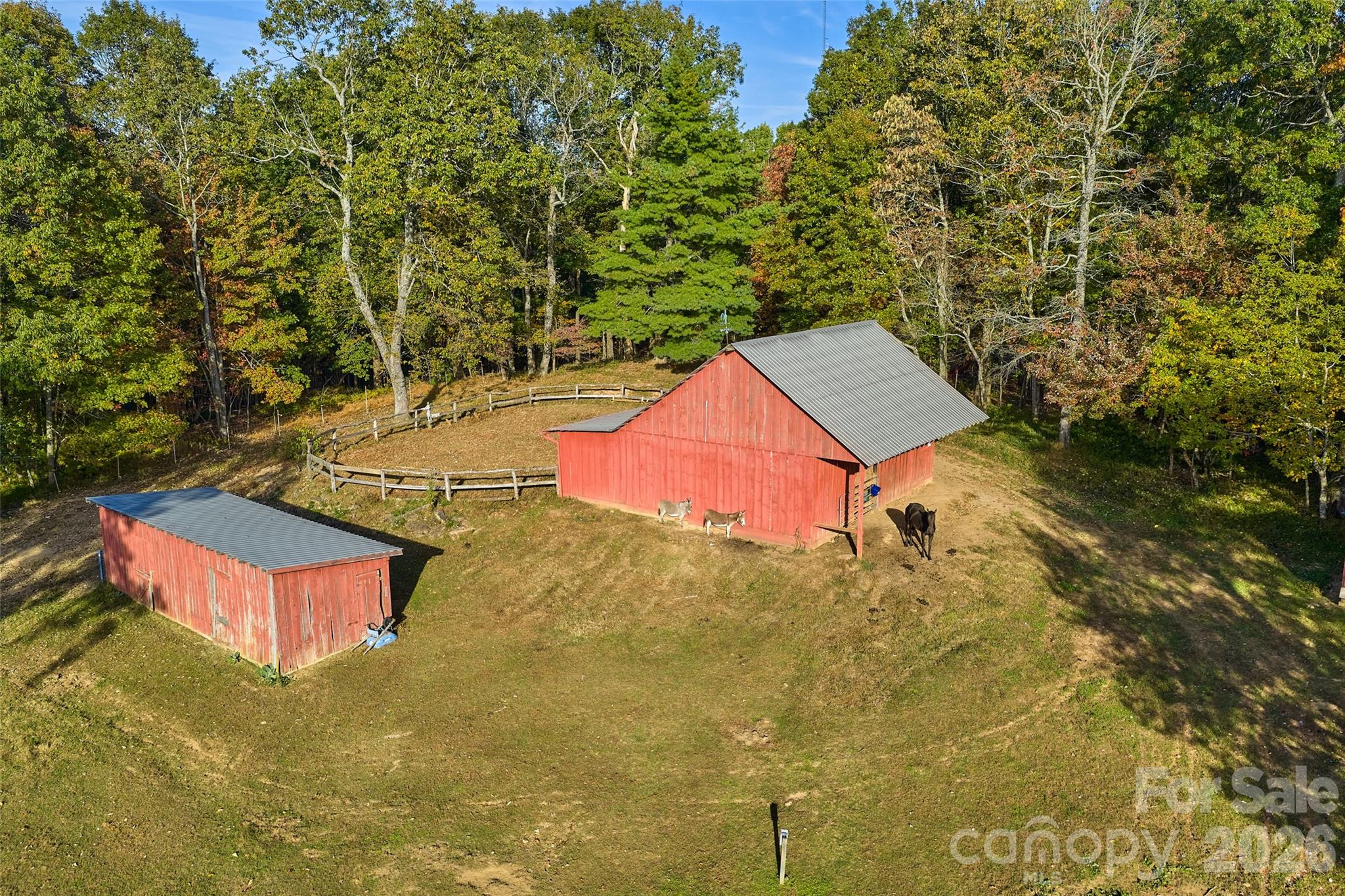 325, 141 & 75 Owl Haven Lane Cedar Mountain NC 28718