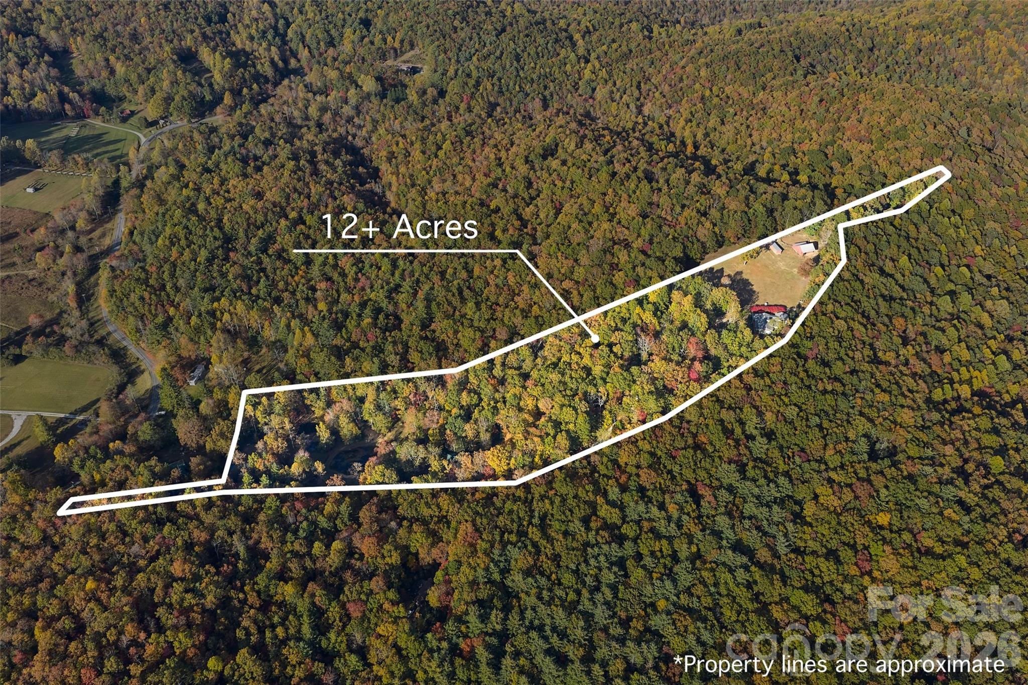 325, 141 & 75 Owl Haven Lane Cedar Mountain NC 28718