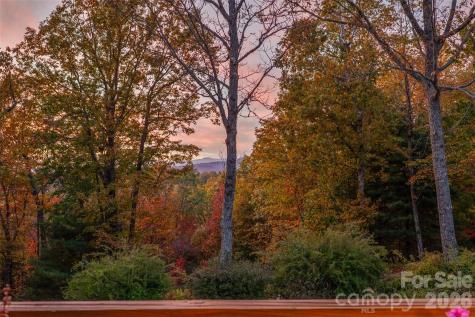 325, 141 & 75 Owl Haven Lane Cedar Mountain NC 28718