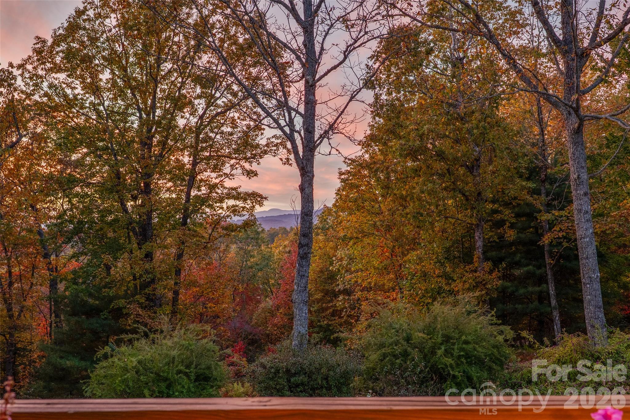 325, 141 & 75 Owl Haven Lane Cedar Mountain NC 28718