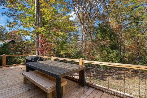 325, 141 & 75 Owl Haven Lane Cedar Mountain NC 28718