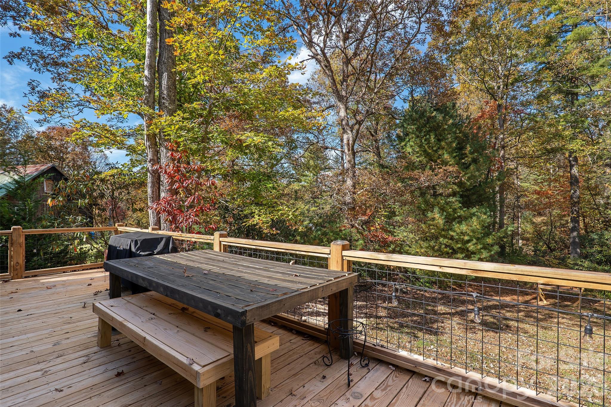 325, 141 & 75 Owl Haven Lane Cedar Mountain NC 28718