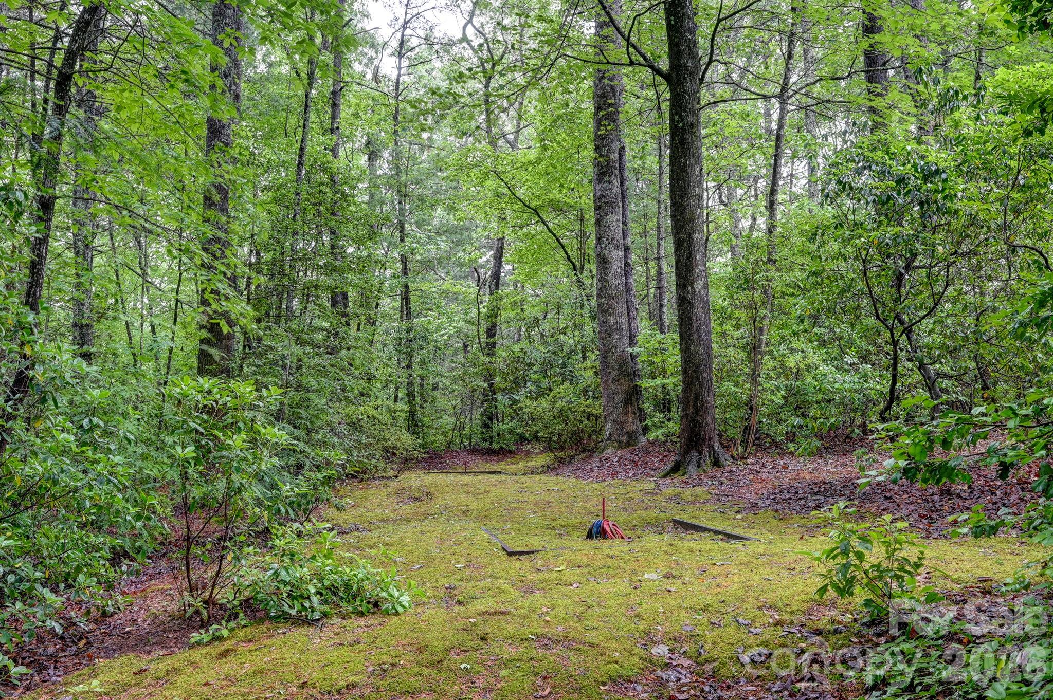 29 Shadow Brook Drive Flat Rock NC 28731