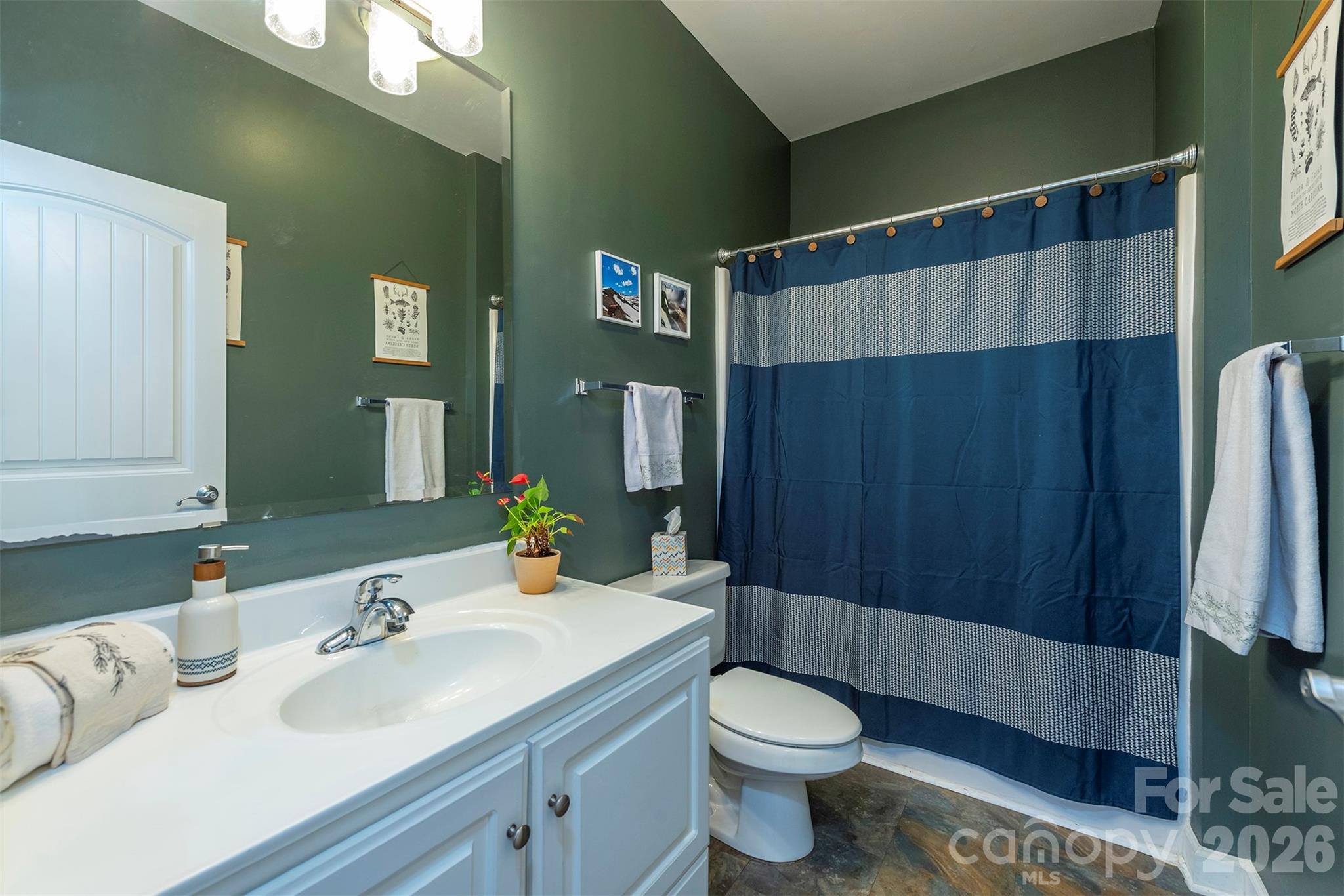 243 Scenic Ridge Drive Hendersonville NC 28792