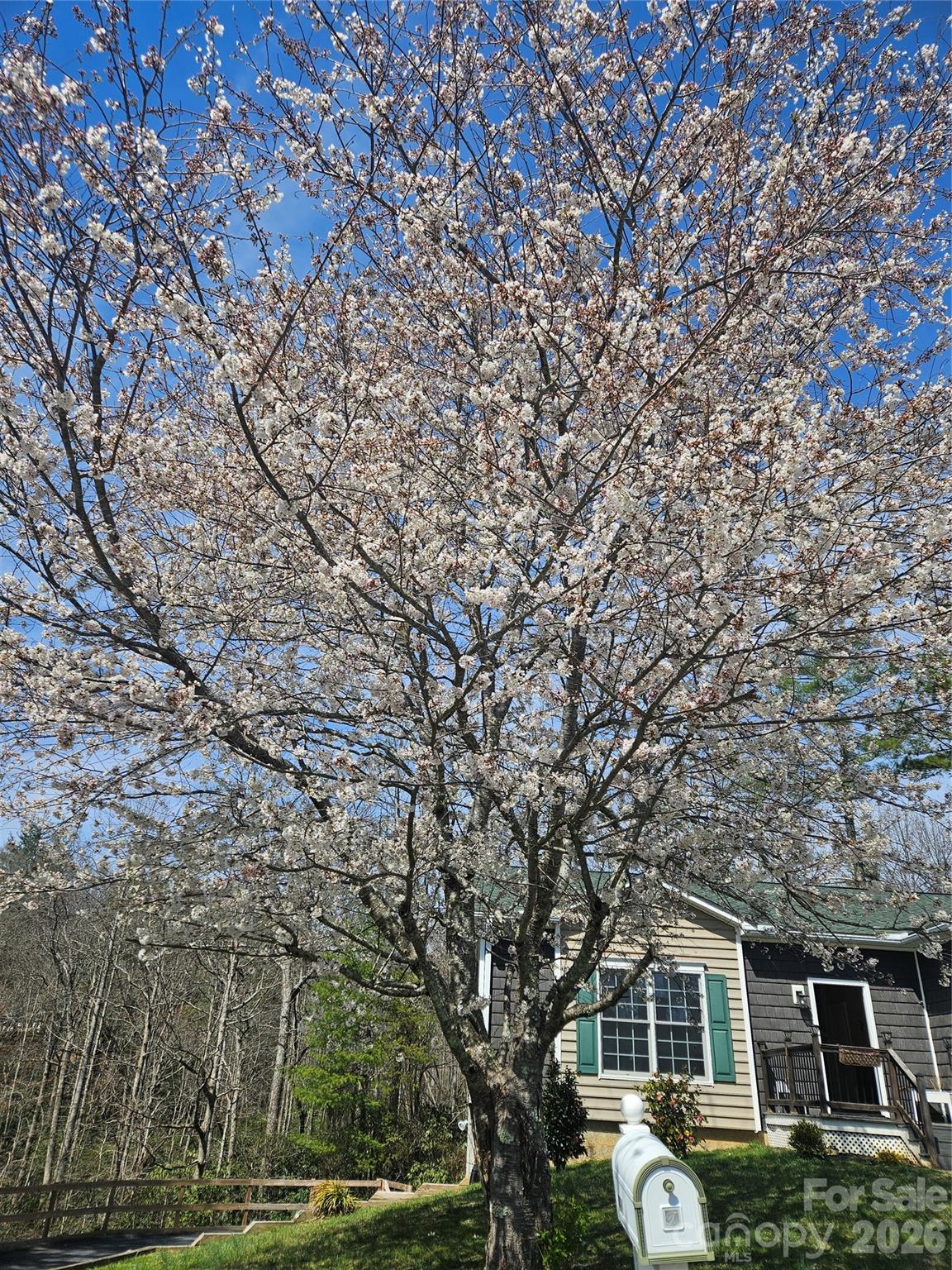 243 Scenic Ridge Drive Hendersonville NC 28792