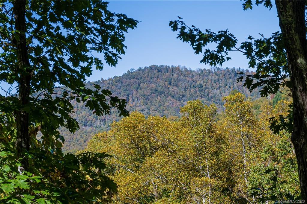 9 Greenmont Drive Asheville NC 28803