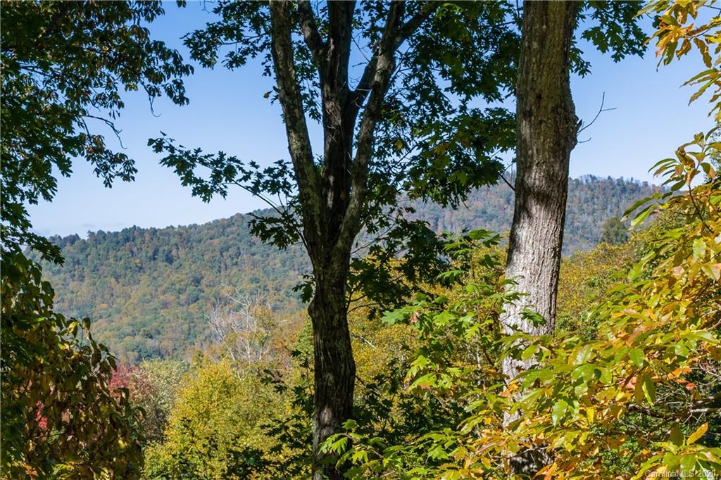 9 Greenmont Drive Asheville NC 28803