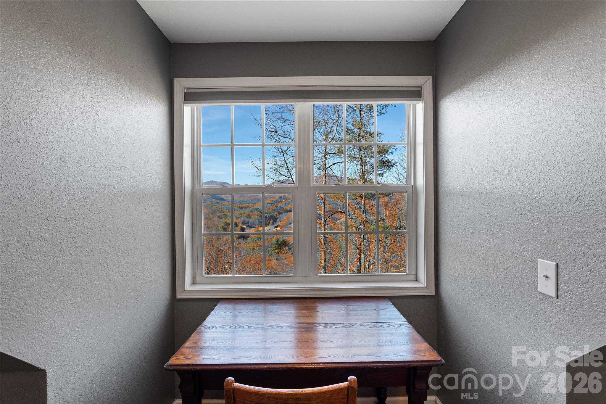 263 S Pinnacle Drive Burnsville NC 28714