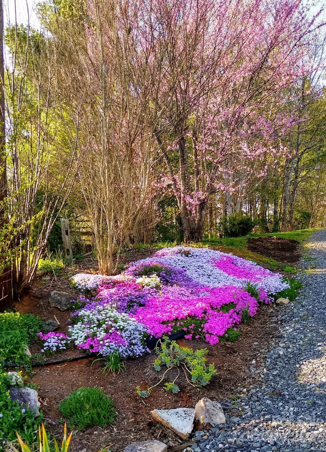 34 Chambers Drive Weaverville NC 28787
