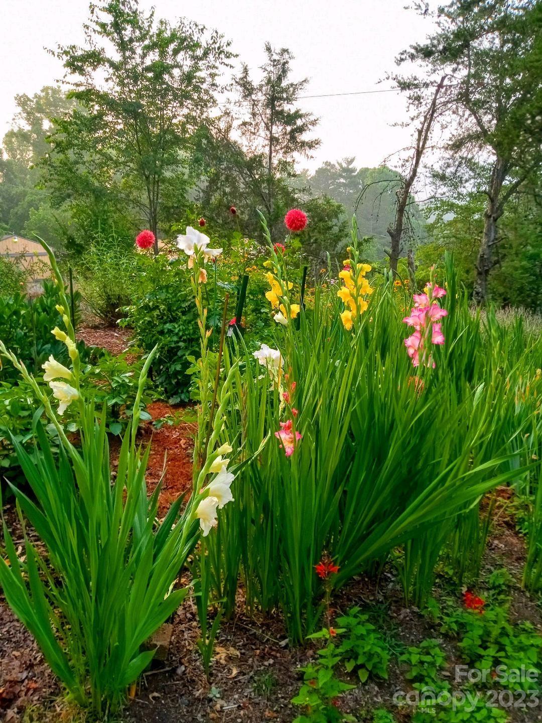 34 Chambers Drive Weaverville NC 28787