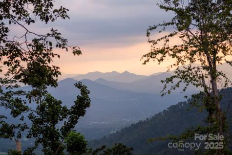 17 Elk Trail Asheville NC 28804