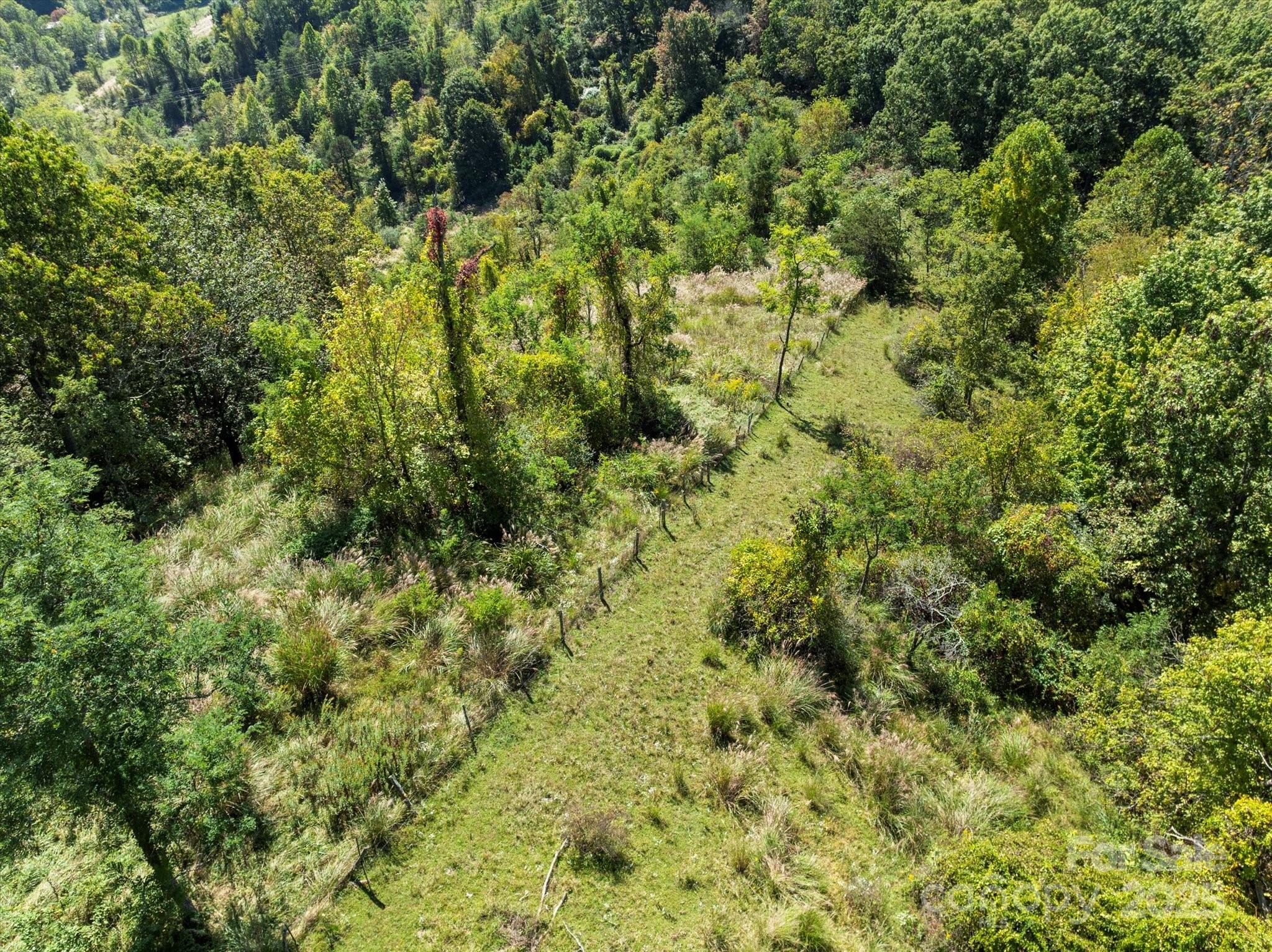 1623 Ammons Branch Road Marshall NC 28753