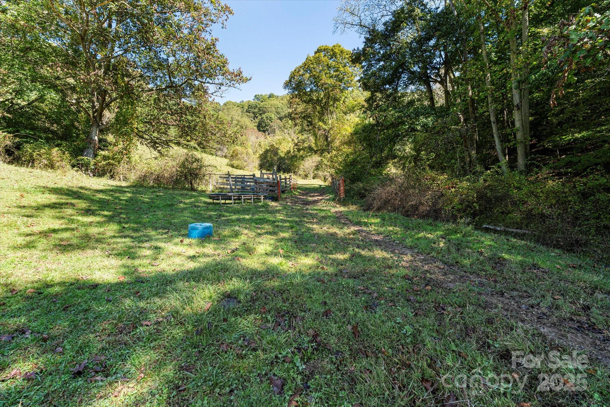 1623 Ammons Branch Road Marshall NC 28753