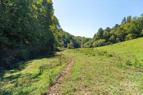 1623 Ammons Branch Road Marshall NC 28753