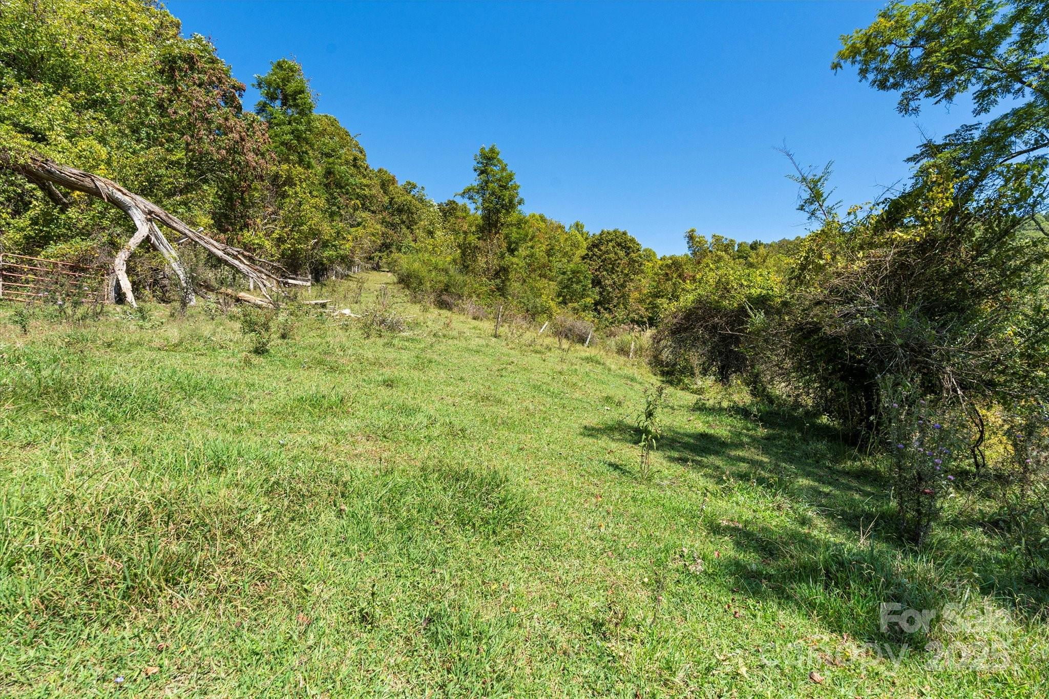 1623 Ammons Branch Road Marshall NC 28753