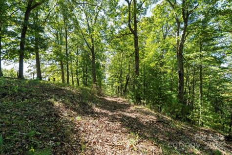 1623 Ammons Branch Road Marshall NC 28753
