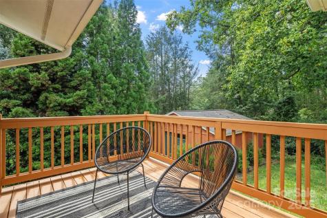 15 Beaverdam Court Asheville NC 28804
