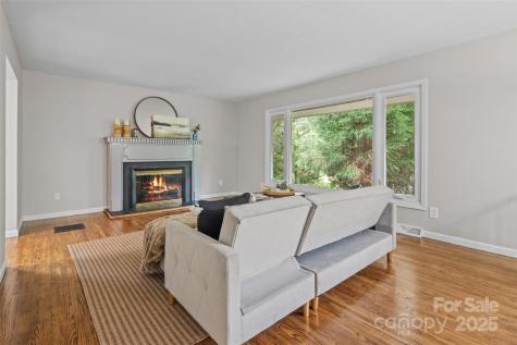 15 Beaverdam Court Asheville NC 28804