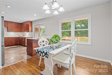 15 Beaverdam Court Asheville NC 28804