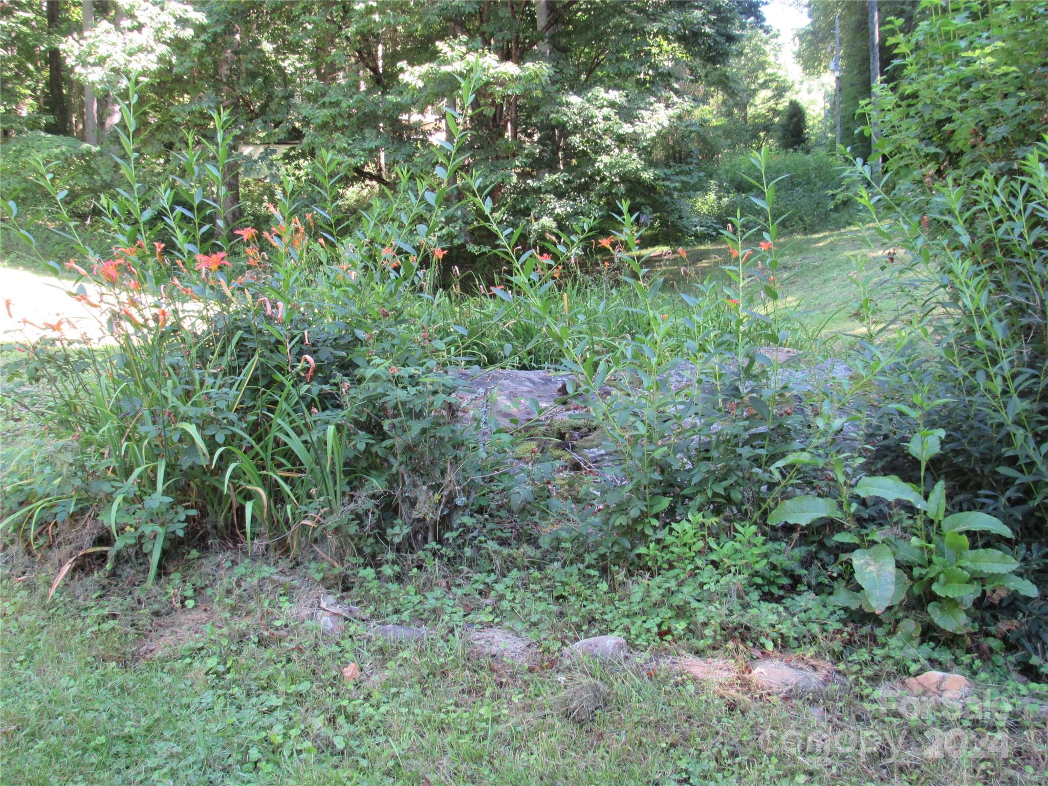664 Woodfin Road Sylva NC 28779