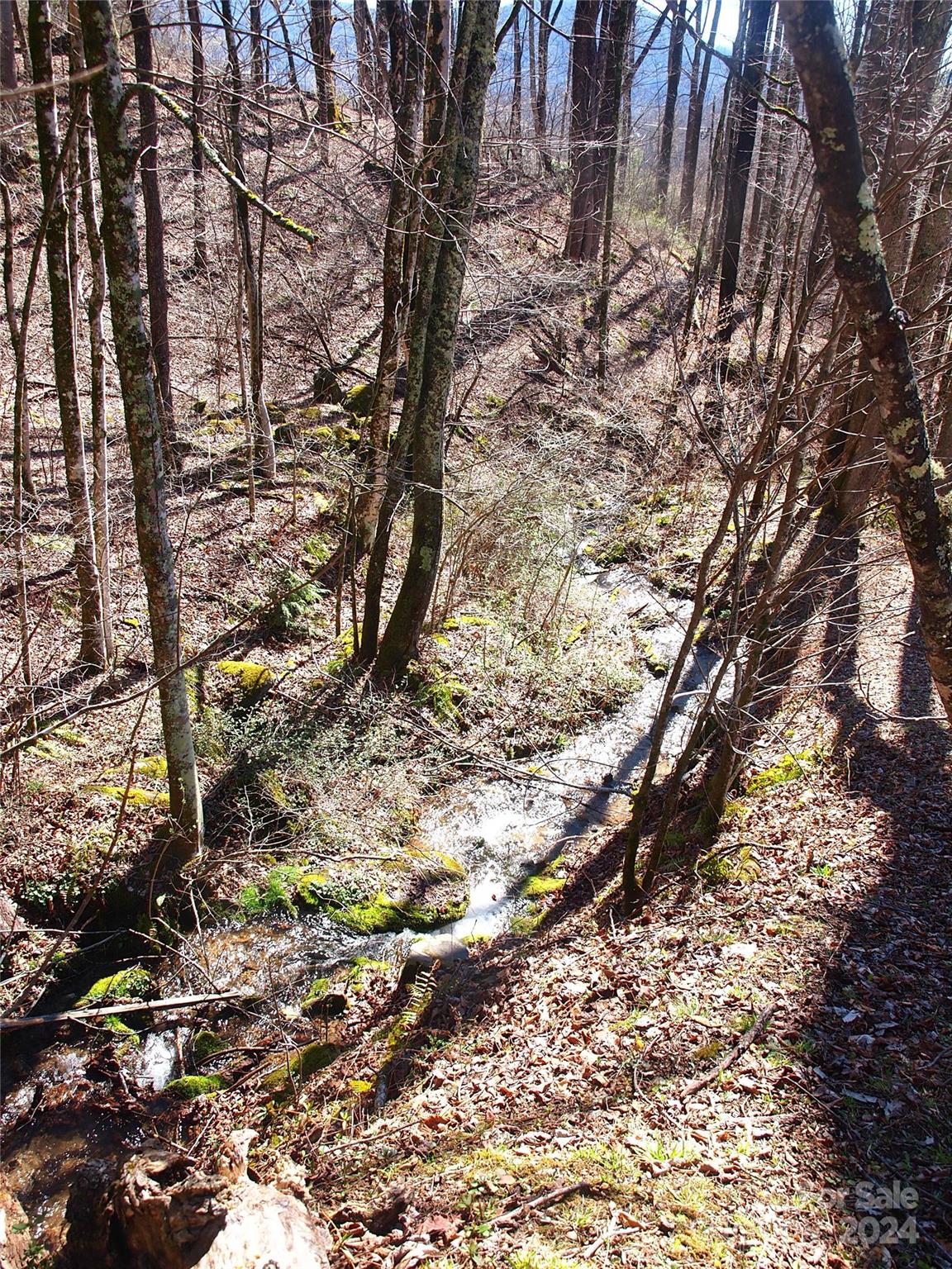 664 Woodfin Road Sylva NC 28779